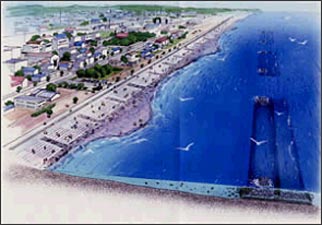 The image of the field-protection combining man-made reefs and loose slope shore protection
