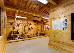 剣山自然情報センター：木材を利用した展示室