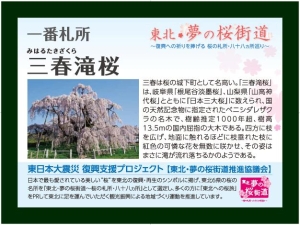 桜の札所の“高札”例
