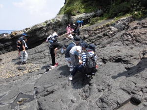 甑島化石
