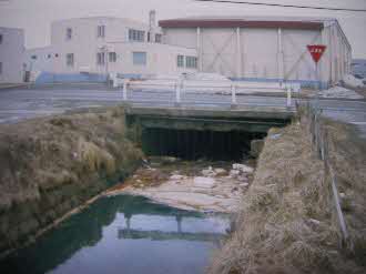 下水道整備前の鉾内川の状況（岩内町）