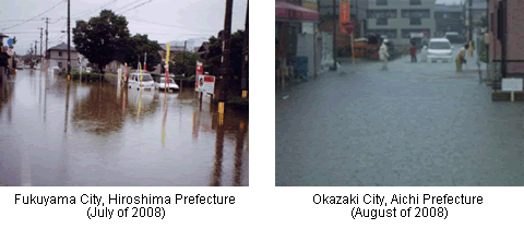 Damages of inundation