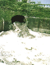 Condition of untreated sewage effluent 
