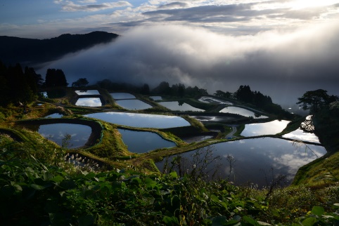 日本農業遺産にも登録されている山古志地域の棚田・棚池の景観