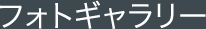 tHgM[