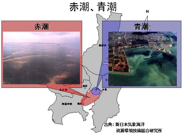 東京湾の赤潮・青潮発生の図