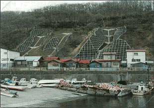 Soil saving enterprise for recovering collapsed hillside (Shizunai-cho)