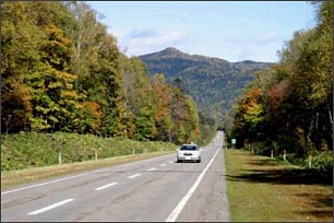 Roadside Scenery Characterizing Hokkaido (National Highway No. 273)