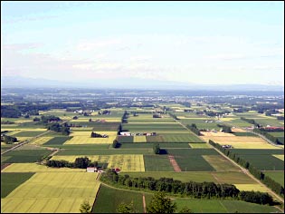 Vast upland farming area (Tokachi area)