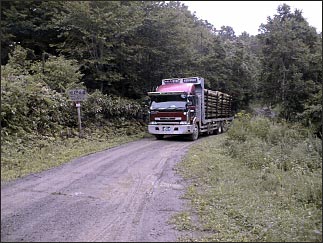 Forest roads are indispensable for the conveyance of lumber and maintenance of forests. (Hakodate City)