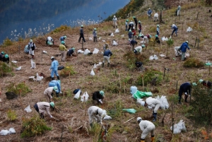 徳山ダム上流に実のなる木を植えよう大作戦