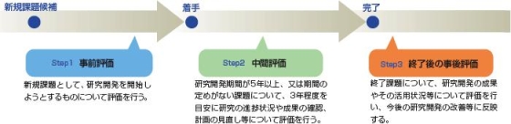 個別研究開発課題評価の実施手順