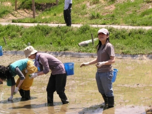 農村民泊