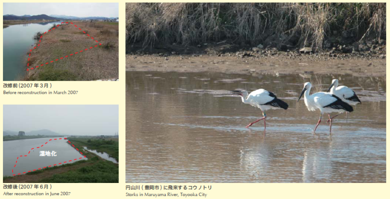 コウノトリと共生する河川整備