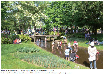 身近な生物生息空間の保全と再生(国営昭和記念公園)11