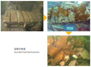 COP10_08_中部国際空港の整備とあわせた藻場の創出21