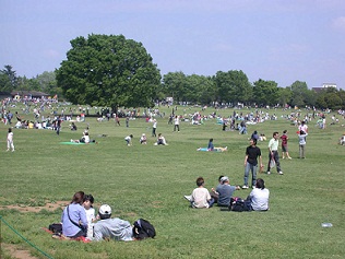 「国営昭和記念公園」「みんなの原っぱ」