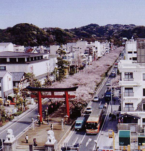 古都の歴史的風土に調和したまち並み(鎌倉市)