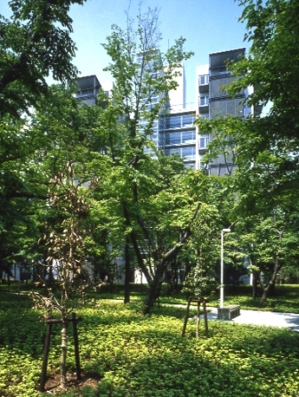 税務大学校