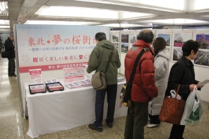 2月26・27日、「東北・夢の桜街道」パネル展を開催