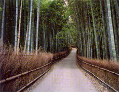 小倉山歴史的風土特別保存地区