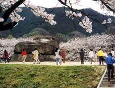 石舞台