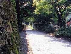 坂本地区