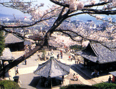 三井寺観音堂