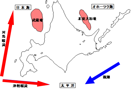 北海道周辺の海流