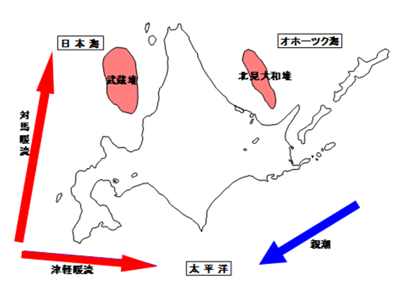 北海道周辺の海流