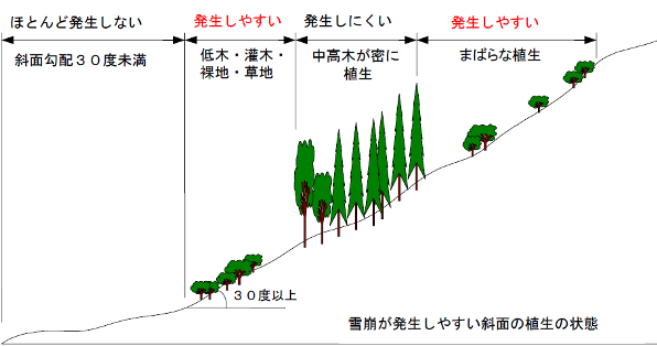 雪崩の発生しやすい場所