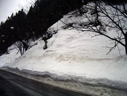 雪しわ