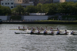 隅田川レガッタ　レース風景