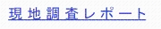 現地調査レポート