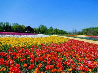 国営滝野すずらん丘陵公園「カントリーガーデン」