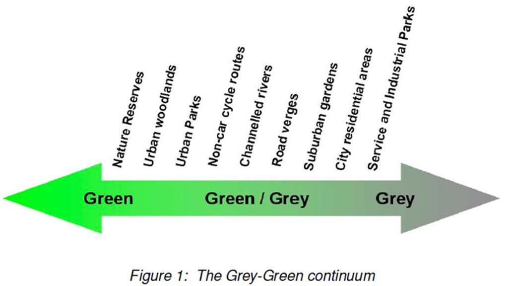 グリーンインフラとグレーインフラの考え方