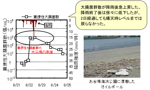 お台場海浜公園（東京都）における測定結果