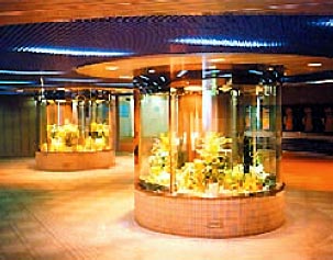 - Intake of natural light via optical fiber - (underground cross-walk passage in front of Toyohashi-shi Station in Aichi Prefecture)