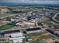 Continued entry of companies