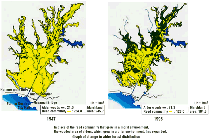 Graph of change in alder forest distribution