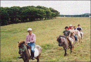 Horse Trekking