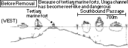 Removal of tertiary marine forts