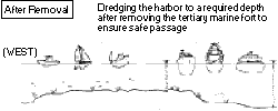 Removal of tertiary marine forts
