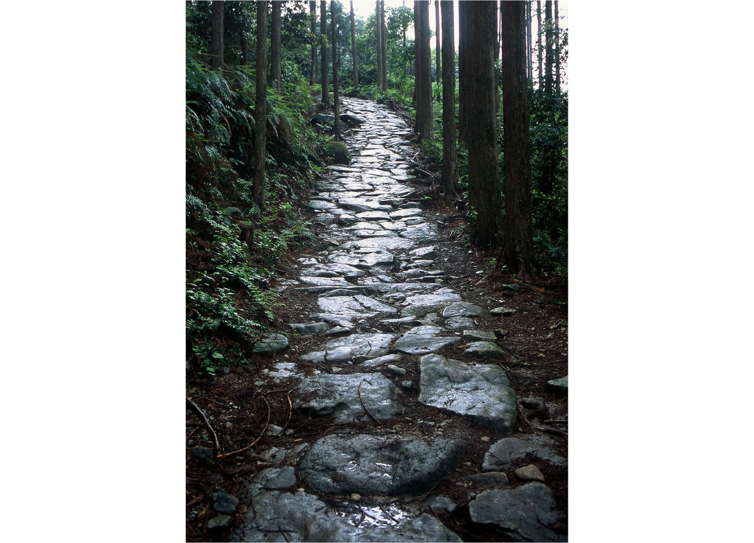 熊野古道伊勢路