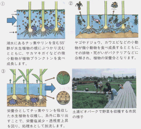 平成１０年建設白書