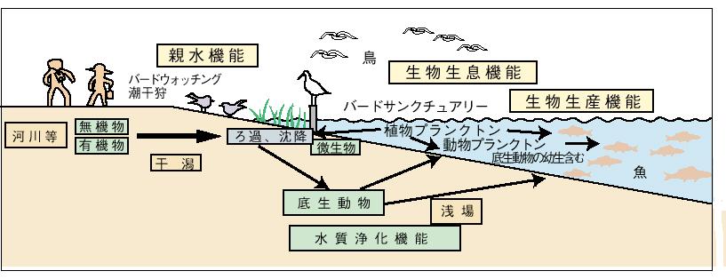 �R�|�V�|�S�}�@�����̋@�\