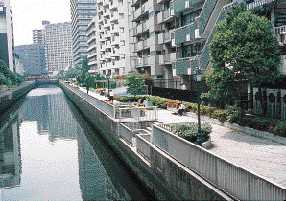 都市海岸高度化事業により遊歩道を一体的に整備した東京港海岸