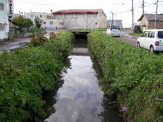 下水道整備後の鉾内川の状況（岩内町）