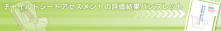 �`���C���h�V�[�g�A�Z�X�����g�̕]�����ʃp���t���b�g