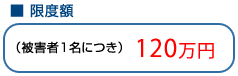 支払限度額